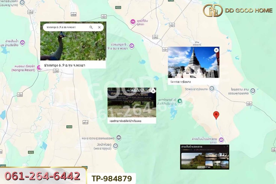 ที่ดินพระธาตุขิงแกง 1 ไร่ 34.1 ตร.ว. พะเยา ใกล้โลตัส สาขาจุน-9