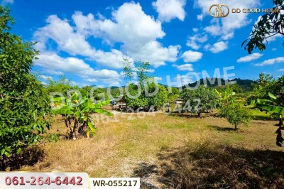 ที่ดินพร้อมบ้านแฝดเชียงคาน 2 ไร่ 184.5 ตร.ว. เลย ใกล้ถนนคนเดินเชียงคาน
