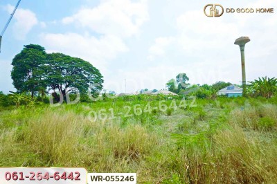 ที่ดินโคกไม้ลาย 46 ไร่ 311 ตร.ว. แยกหนองชะอม เมืองปราจีนบุรี ใกล้ มจพ.วิทยาเขตปราจีนบุรี