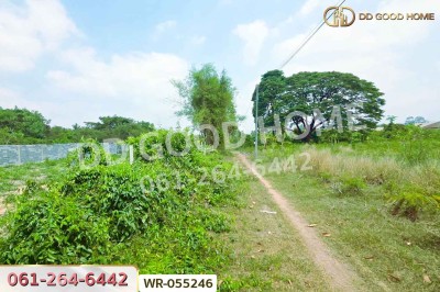 ที่ดินโคกไม้ลาย 46 ไร่ 311 ตร.ว. แยกหนองชะอม เมืองปราจีนบุรี ใกล้ มจพ.วิทยาเขตปราจีนบุรี