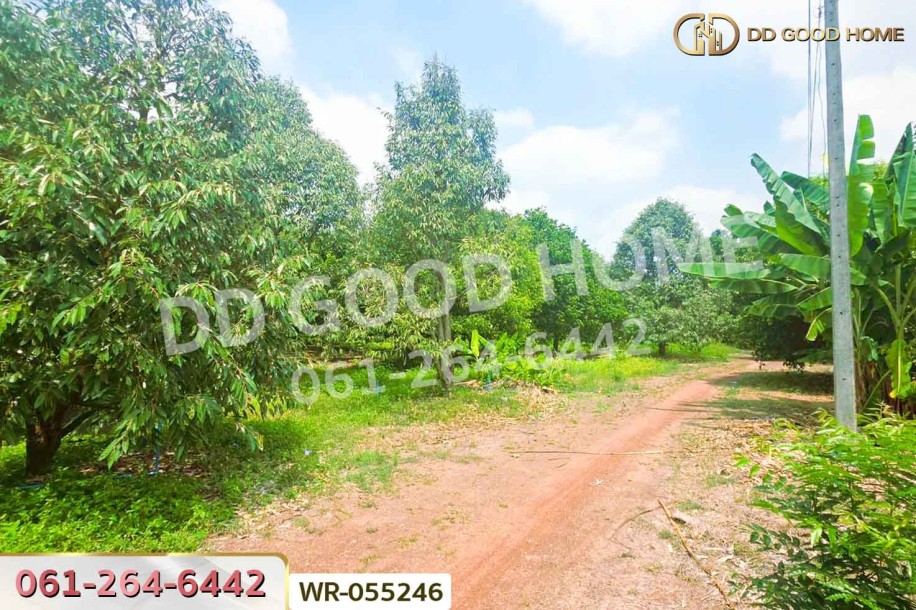 ที่ดินโคกไม้ลาย 46 ไร่ 311 ตร.ว. แยกหนองชะอม เมืองปราจีนบุรี ใกล้ มจพ.วิทยาเขตปราจีนบุรี-8
