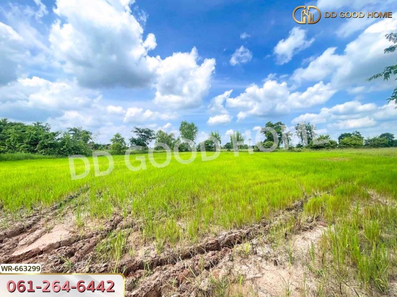 ที่ดินพระทองคำ 16 ไร่ 62 ตร.ว. นครราชสีมา ใกล้สำนักงานที่ดินโนนไทย-3