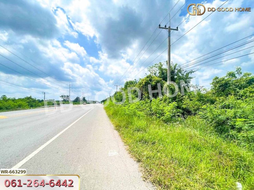 ที่ดินพระทองคำ 16 ไร่ 62 ตร.ว. นครราชสีมา ใกล้สำนักงานที่ดินโนนไทย-5