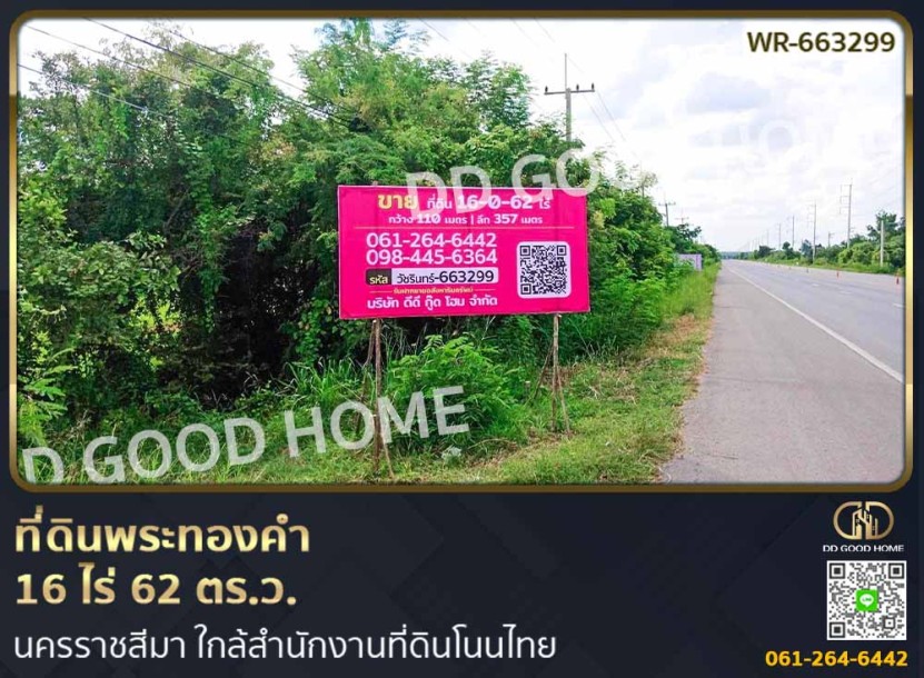 ที่ดินพระทองคำ 16 ไร่ 62 ตร.ว. นครราชสีมา ใกล้สำนักงานที่ดินโนนไทย-1