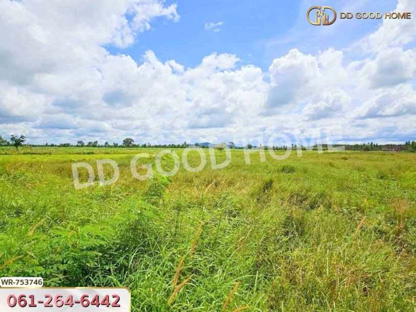 ที่ดินเมืองสระแก้ว 6 ไร่ 302 ตร.ว. ใกล้ แยกสระขวัญ-2