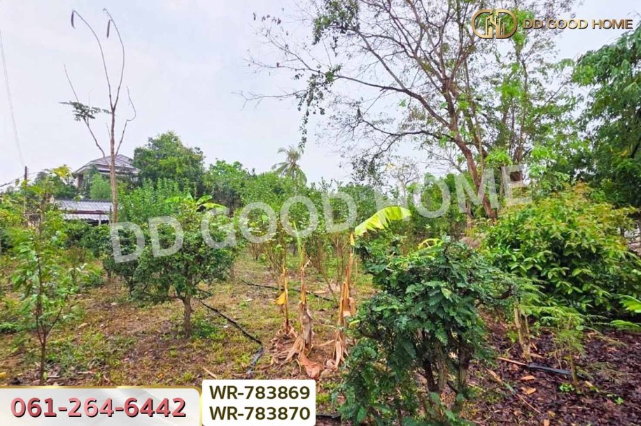 ที่ดินพร้อมบ้านเดี่ยวบ้านฉาง 1 ไร่ 190.7 ตร.ว. ระยอง ใกล้สนามบินอู่ตะเภา-15