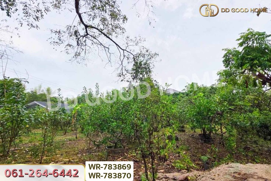 ที่ดินพร้อมบ้านเดี่ยวบ้านฉาง 1 ไร่ 190.7 ตร.ว. ระยอง ใกล้สนามบินอู่ตะเภา-14