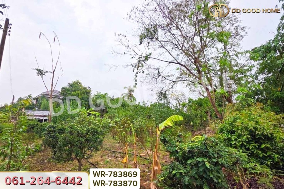 ที่ดินพร้อมบ้านเดี่ยวบ้านฉาง 1 ไร่ 190.7 ตร.ว. ระยอง ใกล้สนามบินอู่ตะเภา-13