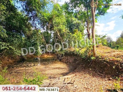 ที่ดินสวนผลไม้ 6 ไร่ 39 ตร.ว. ต.มะขาม จันทบุรี ใกล้สวนทุเรียนแลนด์