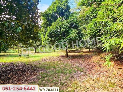 ที่ดินสวนผลไม้ 6 ไร่ 39 ตร.ว. ต.มะขาม จันทบุรี ใกล้สวนทุเรียนแลนด์