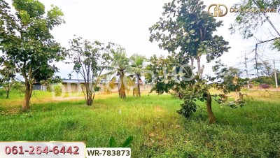 ที่ดินบ้านพริก 1 ไร่ 202.2 ตร.ว. นครนายก ใกล้ อบต. บ้านพริก