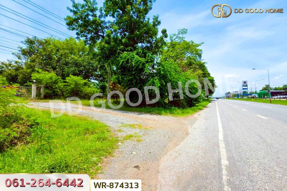 ที่ดิน 7 ไร่ 34 ตร.ว. อำเภอเมืองหนองบัวลำภู ใกล้ศาลากลางจังหวัด-7
