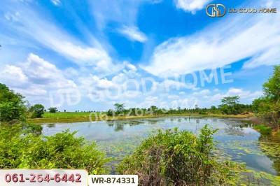 ที่ดิน 76 ไร่ 174 ตร.ว. เมืองหนองบัวลำภู ใกล้สำนักงานเทศบาลเมืองหนองบัวลำภู