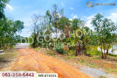 ที่ดิน 76 ไร่ 174 ตร.ว. เมืองหนองบัวลำภู ใกล้สำนักงานเทศบาลเมืองหนองบัวลำภู