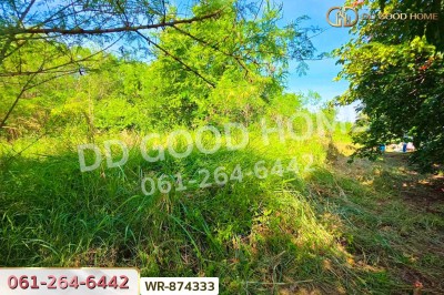 ที่ดินวังน้อย 39 ไร่ 379.1 ตร.ว. อยุธยา ใกล้โรงพยาบาลวังน้อย-5