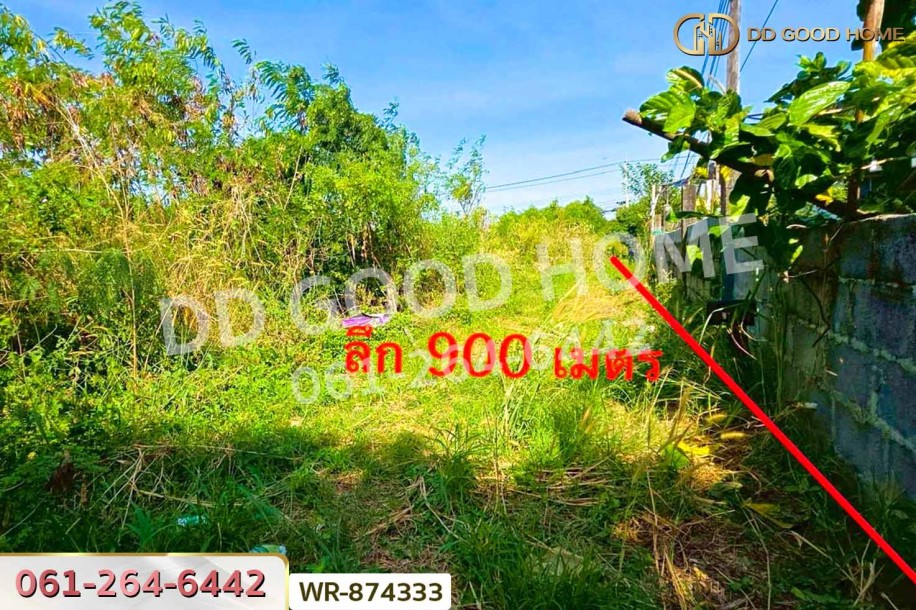 ที่ดินวังน้อย 39 ไร่ 379.1 ตร.ว. อยุธยา ใกล้โรงพยาบาลวังน้อย-4