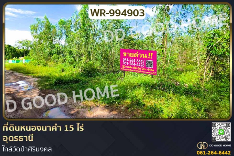 ที่ดินหนองนาคำ 15 ไร่ อุดรธานี ใกล้วัดป่าศิริมงคล-1