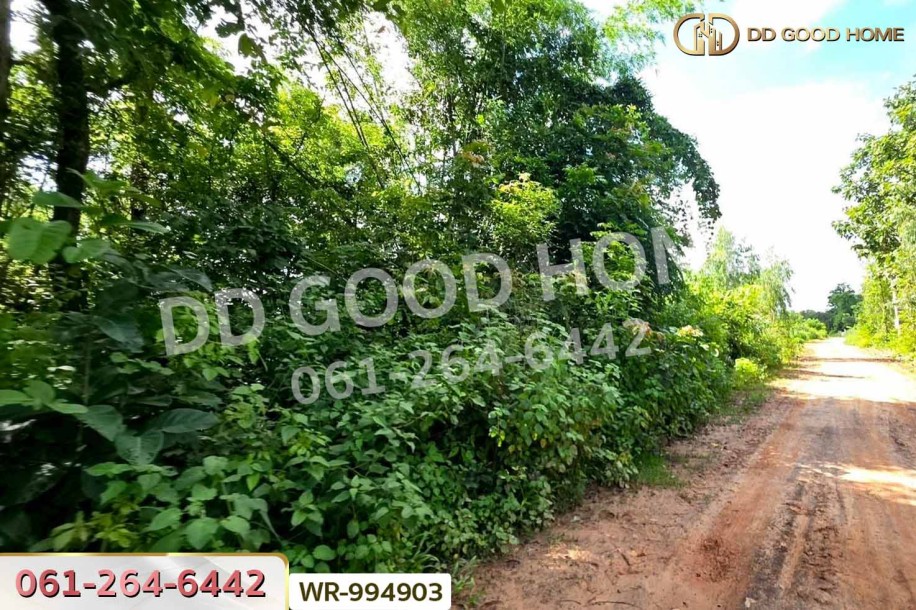 ที่ดินหนองนาคำ 15 ไร่ อุดรธานี ใกล้วัดป่าศิริมงคล-7
