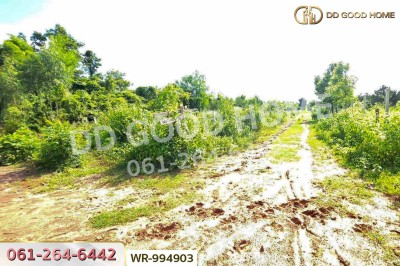 ที่ดินหนองนาคำ 15 ไร่ อุดรธานี ใกล้วัดป่าศิริมงคล