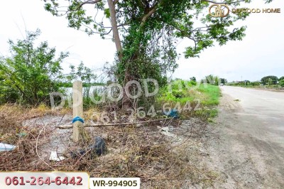 ที่ดิน 6 ไร่ บางปะกง ฉะเชิงเทรา ใกล้โรงพยาบาลจุฬารัตน์ 11 อินเตอร์