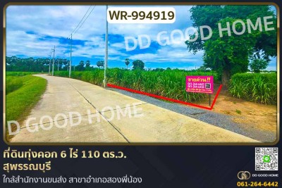 ที่ดินทุ่งคอก 6 ไร่ 110 ตร.ว. สุพรรณบุรี ใกล้สำนักงานขนส่ง สาขาอำเภอสองพี่น้อง