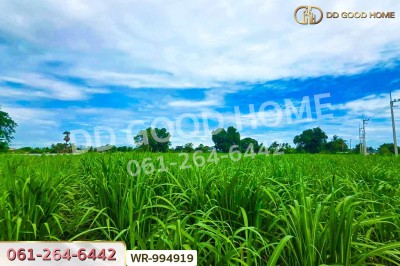 ที่ดินทุ่งคอก 6 ไร่ 110 ตร.ว. สุพรรณบุรี ใกล้สำนักงานขนส่ง สาขาอำเภอสองพี่น้อง