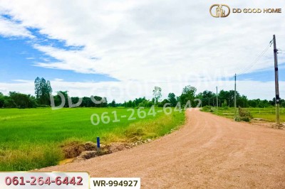 ที่ดินหันคา 149 ไร่ 114 ตร.ว. ชัยนาท ใกล้โรงพยาบาลหันคา