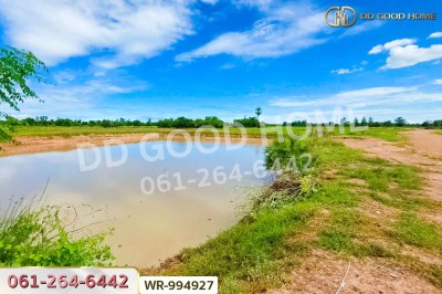 ที่ดินหันคา 149 ไร่ 114 ตร.ว. ชัยนาท ใกล้โรงพยาบาลหันคา