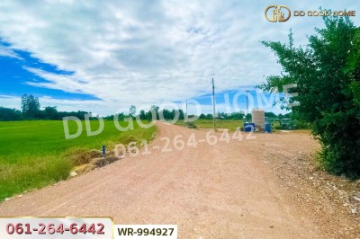 ที่ดินหันคา 149 ไร่ 114 ตร.ว. ชัยนาท ใกล้โรงพยาบาลหันคา
