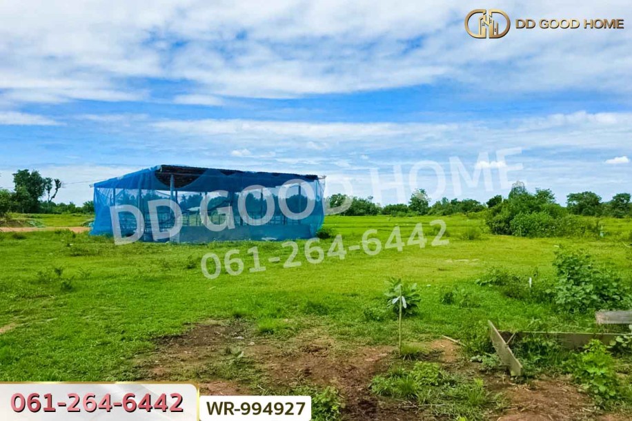 ที่ดินหันคา 149 ไร่ 114 ตร.ว. ชัยนาท ใกล้โรงพยาบาลหันคา-4