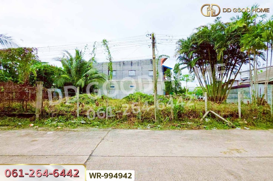 ที่ดินคอหงส์ 96.1 ตร.ว. ซ.รัฐประชา หาดใหญ่ ใกล้เซ็นทรัล หาดใหญ่-4