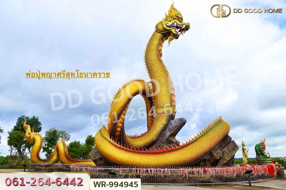 ที่ดินพระธาตุ 3 ไร่ 118.1 ตร.ว. ร้อยเอ็ด ใกล้สนามบินร้อยเอ็ด-10