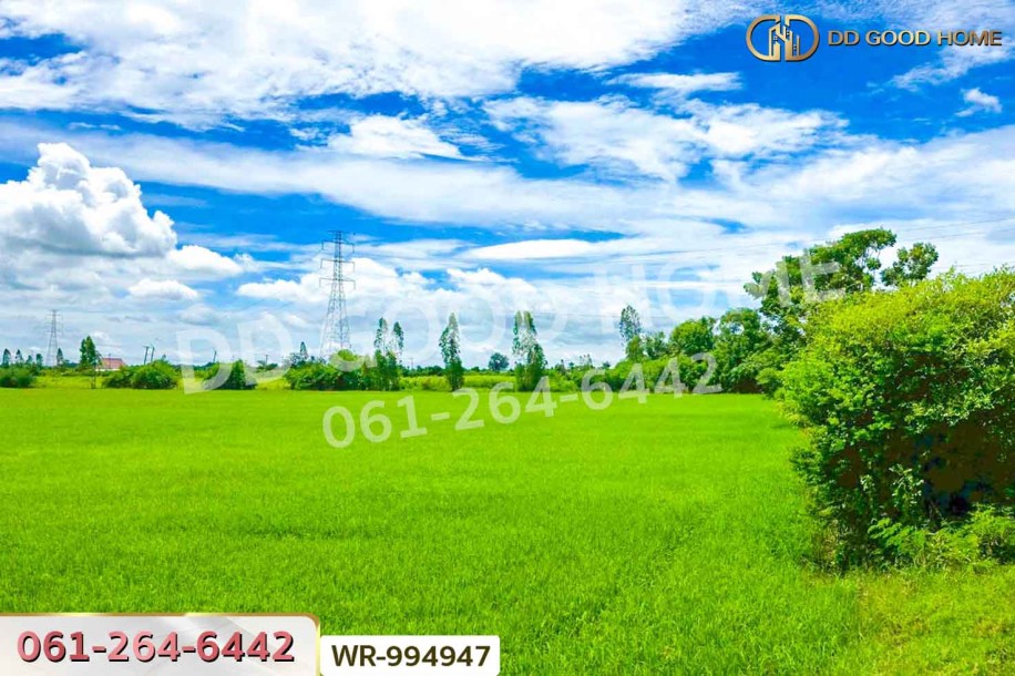 ที่ดินท่ามะกา 10 ไร่ 30 ตร.ว. กาญจนบุรี ใกล้สำนักงานขนส่งจังหวัดกาญจนบุรี (สาขาอำเภอท่ามะกา).-7