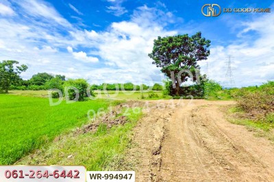 ที่ดินท่ามะกา 10 ไร่ 30 ตร.ว. กาญจนบุรี ใกล้สำนักงานขนส่งจังหวัดกาญจนบุรี (สาขาอำเภอท่ามะกา).