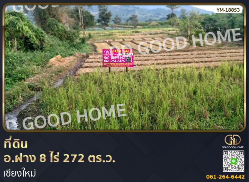 ที่ดิน อ.ฝาง 8 ไร่ 272 ตร.ว. เชียงใหม่-1