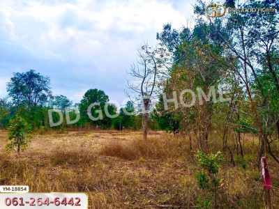 ที่ดิน อ.เมืองลำปาง 13 ไร่ 374 ตร.ว. ลำปาง