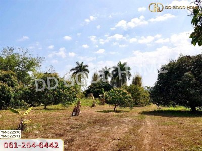 ที่ดิน อ.เมืองลำพูน 28 ไร่ 301 ตร.ว. ลำพูน-7