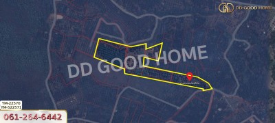 ที่ดิน อ.เมืองลำพูน 28 ไร่ 301 ตร.ว. ลำพูน-9