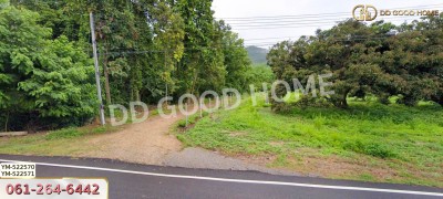 ที่ดิน อ.เมืองลำพูน 28 ไร่ 301 ตร.ว. ลำพูน-4