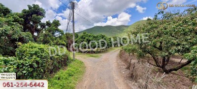 ที่ดิน อ.เมืองลำพูน 28 ไร่ 301 ตร.ว. ลำพูน-3