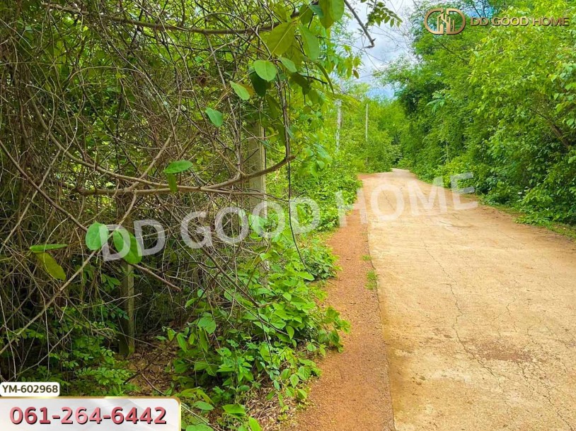 ที่ดิน ต.พระบาท 1 ไร่ 342 ตร.ว. ลำปาง-3