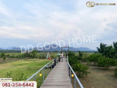 ที่ดิน ไร่สามคำ อ.แม่พริก 20 ไร่ 155 ตร.ว. ลำปาง-5