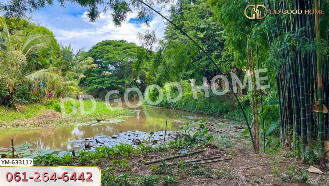 ที่ดิน สันทราย 1 ไร่ 75 ตร.ว. เชียงใหม่-3