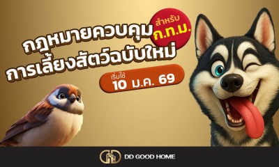  กฎหมายควบคุมการเลี้ยงสัตว์ฉบับใหม่สำหรับกทม. 