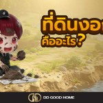 ที่ดินงอกคืออะไร?