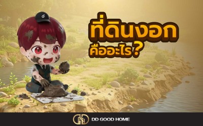 ที่ดินงอกคืออะไร?