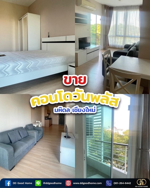 ❌SOLD OUT❌ ขายด่วน!! คอนโดวันพลัส มหิดล เชียงใหม่ One Plus Mahidol-1