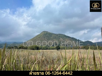 ที่ดิน เชียงราย 37 ไร่ ทำเลดีมากกกกกก