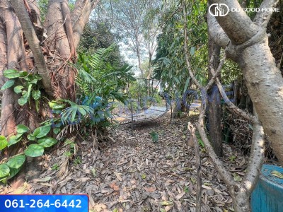 ที่ดินเปล่า ทำเลดี โครงการหมู่บ้านชลลดา บางบัวทอง