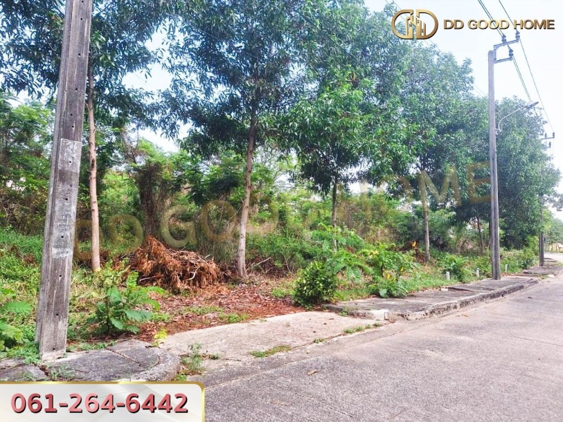 ที่ดินเปล่า โครงการหมู่บ้านฟอเรส ปาร์ค บางชัน มีนบุรี-5